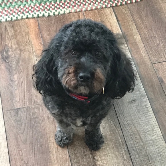 Meet your Posher, Megan - Picture 10 of 10